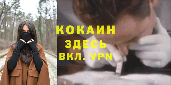 прущая мука Арсеньев