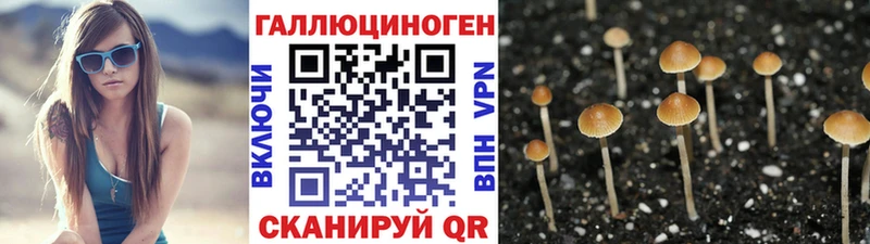 Галлюциногенные грибы прущие грибы  Аткарск 